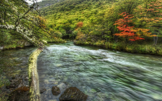 487704 (a): :2560x1600